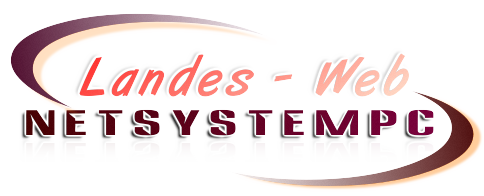 Développeur Netsystempc