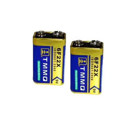 Lot de 2 Piles 9 Volts LR6 usage intensif Lot de 2 Piles 9 Volts LR6 usage intensif