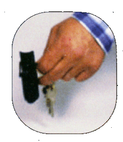 porte-clefs anti agression bombe lacrymogene et lampe torche